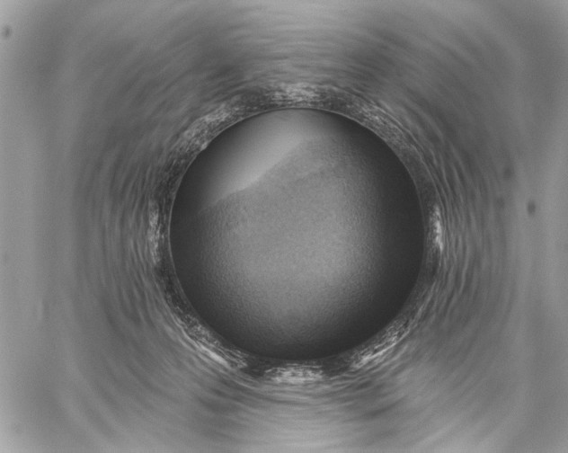 X0000059060223200510281641