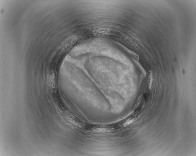 X0000059060224200510281641