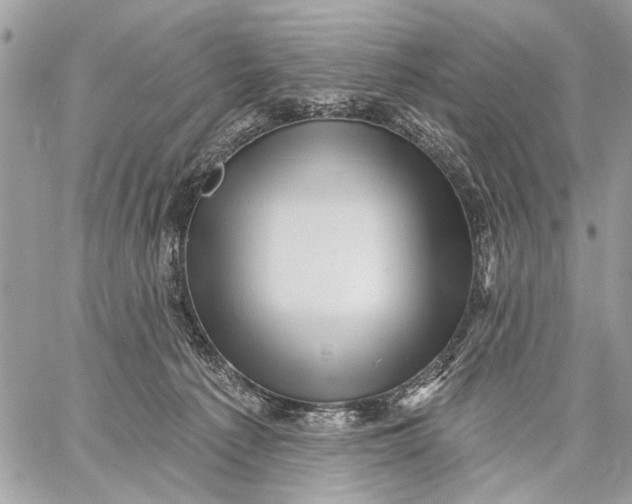 X0000059060225200510281641