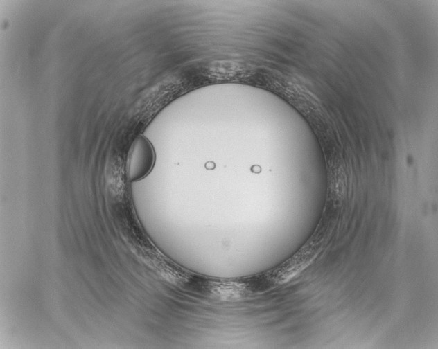 X0000059060226200510281641