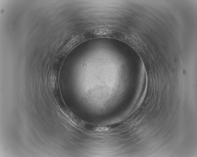 X0000059060227200510281641