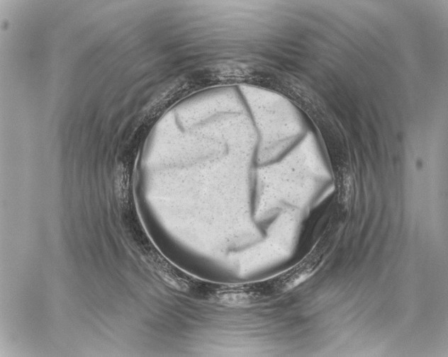 X0000059060228200510281640