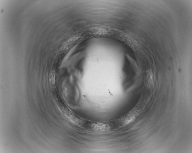 X0000059060230200510281640