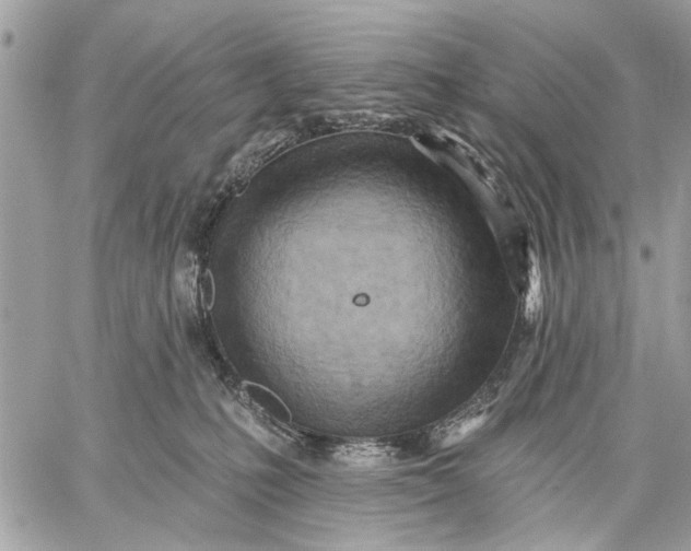 X0000059060231200510281640