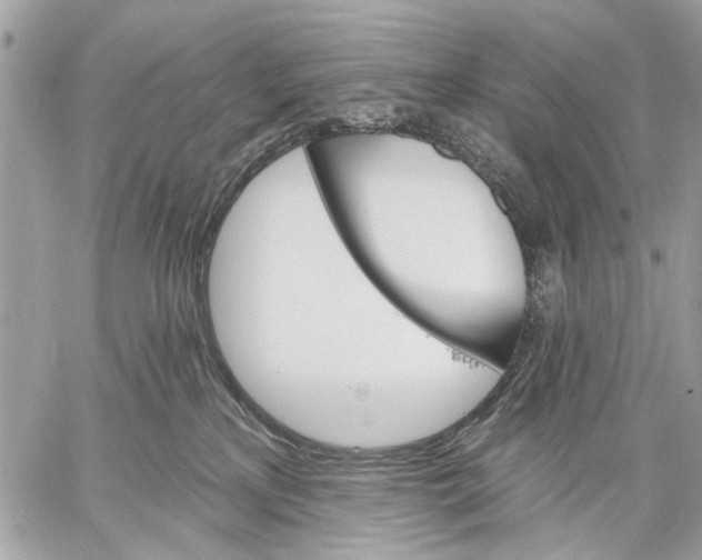 X0000059060233200510281640