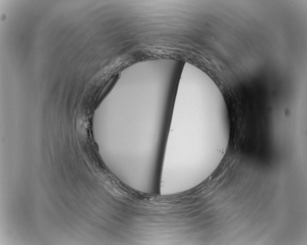 X0000059060235200510281640