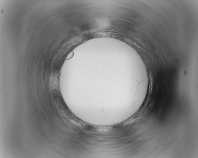 X0000059060236200510281640