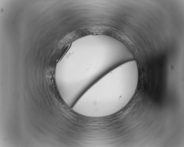 X0000059060237200510281640