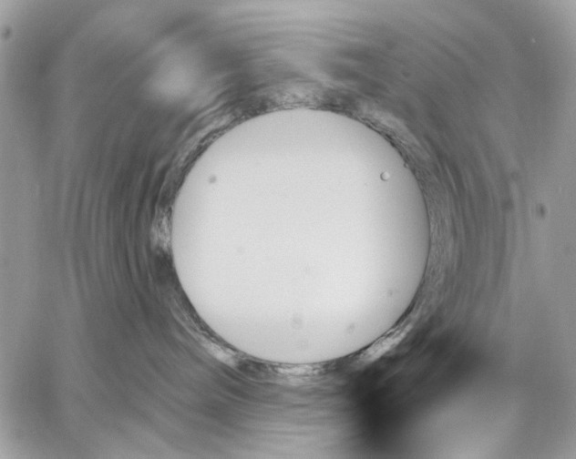 X0000059060240200510281640