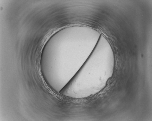 X0000059060241200510281640