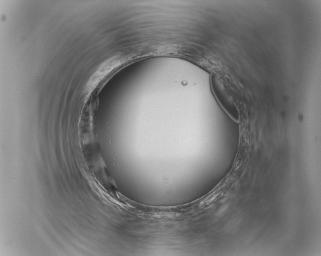 X0000059060242200510281640