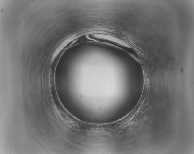 X0000059060244200510281640