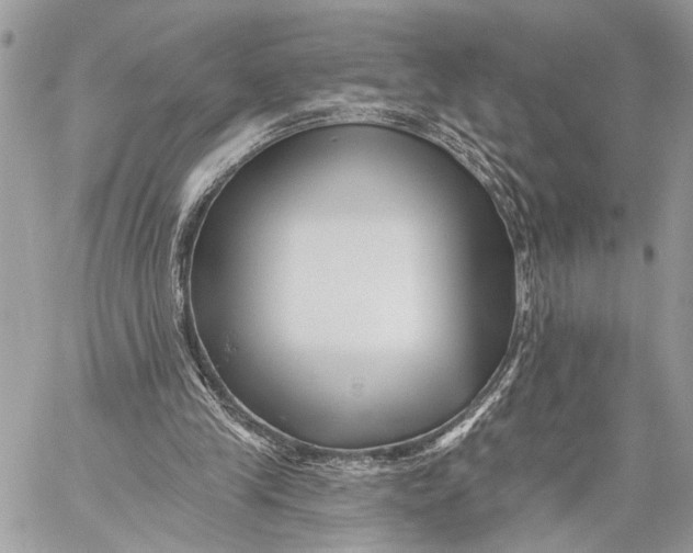 X0000059060245200510281640