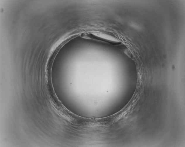 X0000059060246200510281640