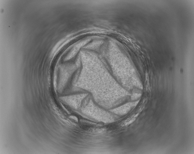 X0000059060247200510281640