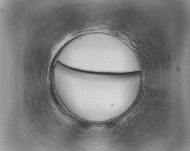 X0000059060248200510281640