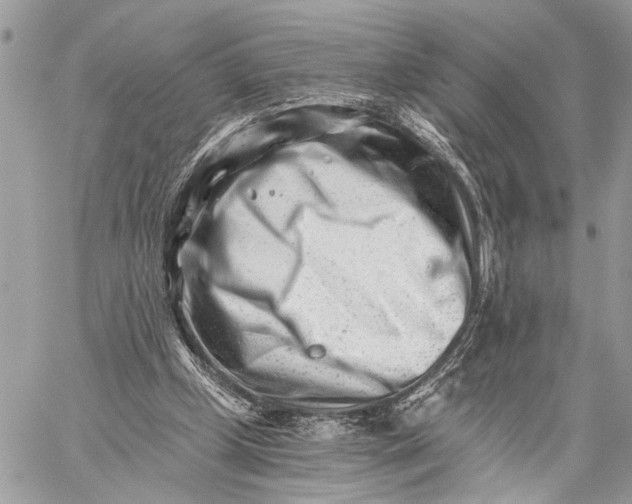 X0000059060249200510281640