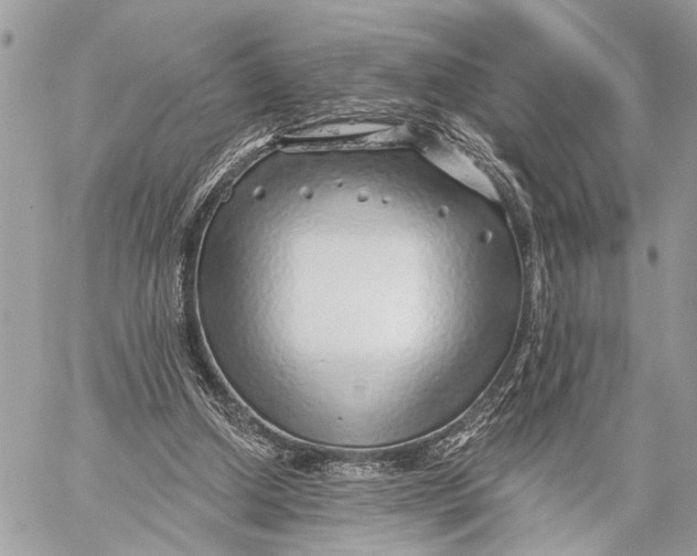 X0000059060250200510281640