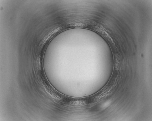 X0000059060251200510281640