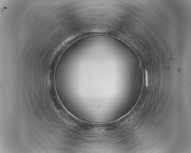 X0000059060252200510281640