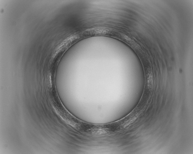 X0000059060254200510281640