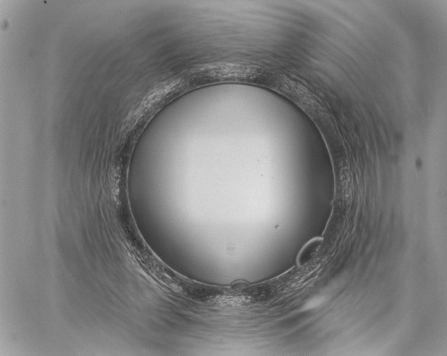 X0000059060255200510281640