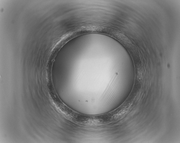 X0000059060256200510281640