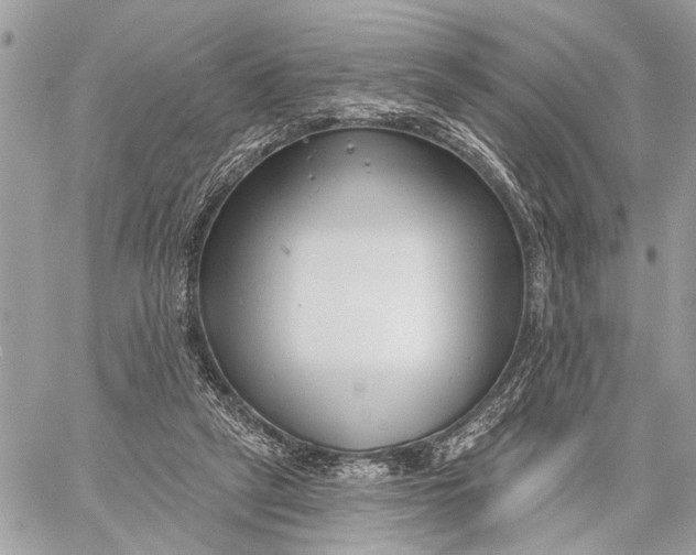 X0000059060257200510281640