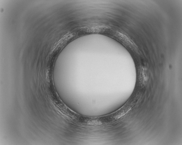 X0000059060258200510281640