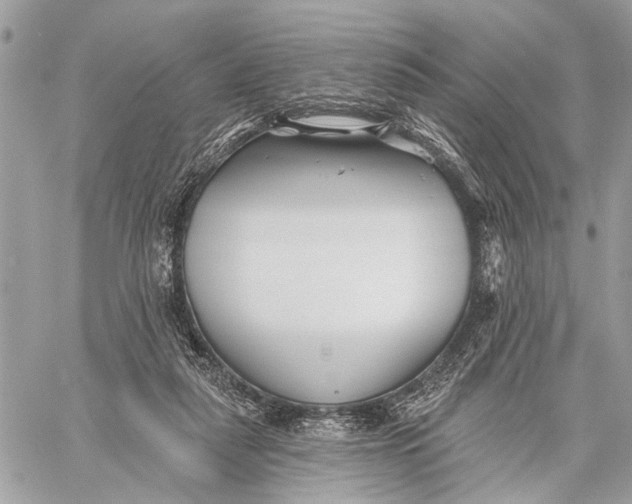 X0000059060259200510281640