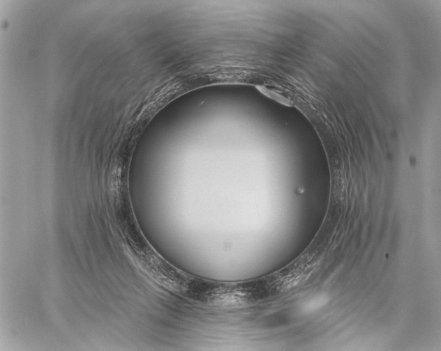 X0000059060263200510281640