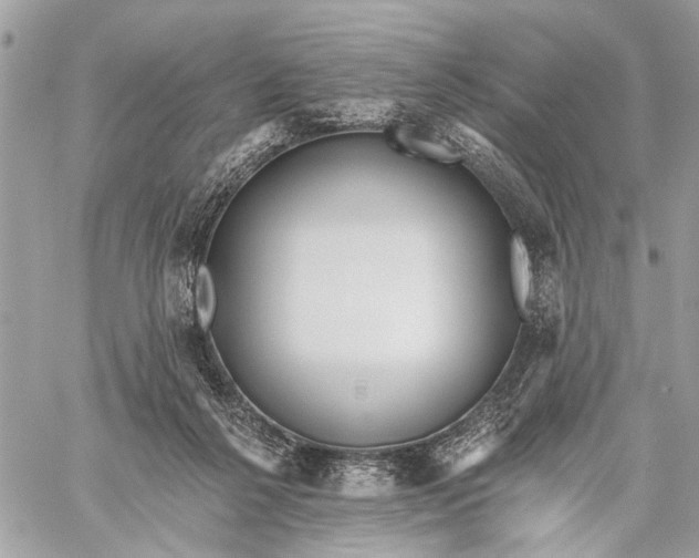 X0000059060264200510281640