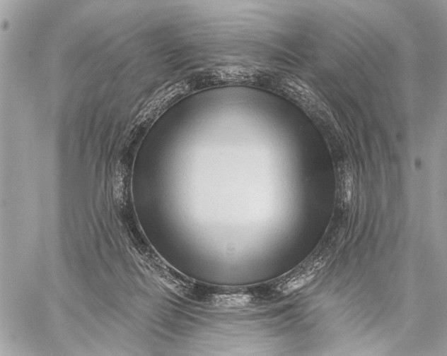 X0000059060266200510281640