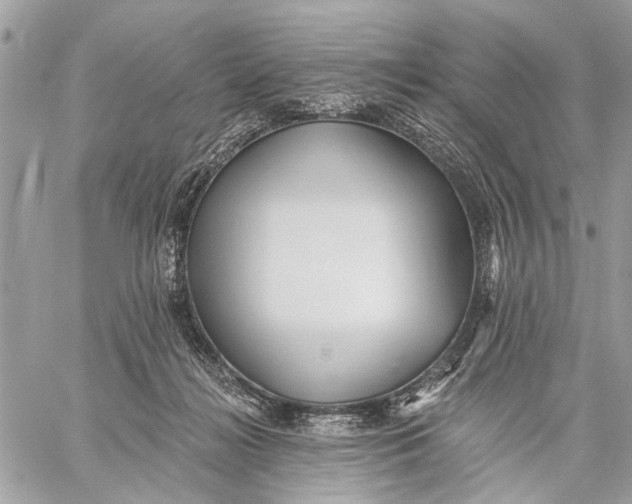 X0000059060268200510281640