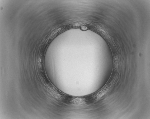 X0000059060269200510281640