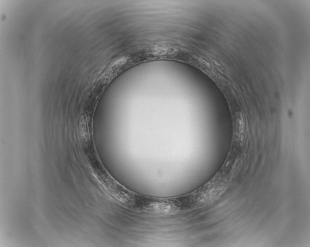 X0000059060272200510281640