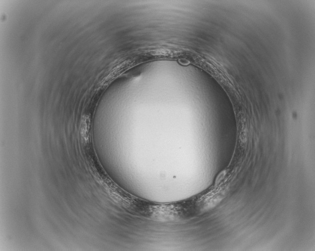 X0000059060273200510281640