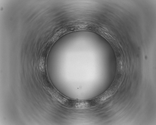 X0000059060274200510281640