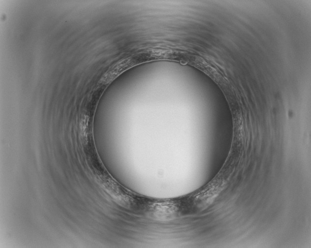 X0000059060275200510281640