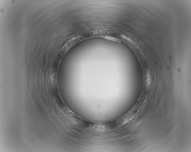 X0000059060276200510281640