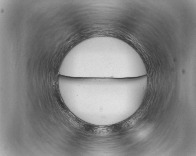 X0000059060277200510281640