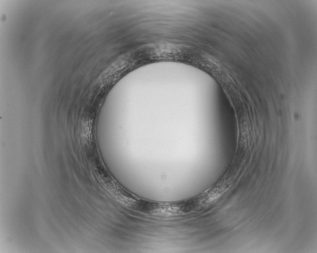 X0000059060278200510281640