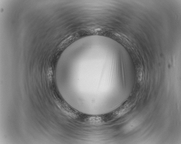 X0000059060279200510281640