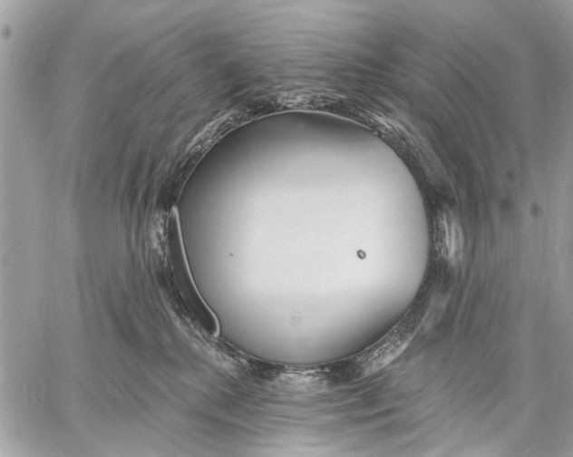 X0000059060280200510281640