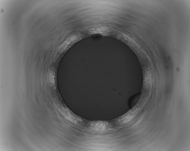 X0000059060282200510281640