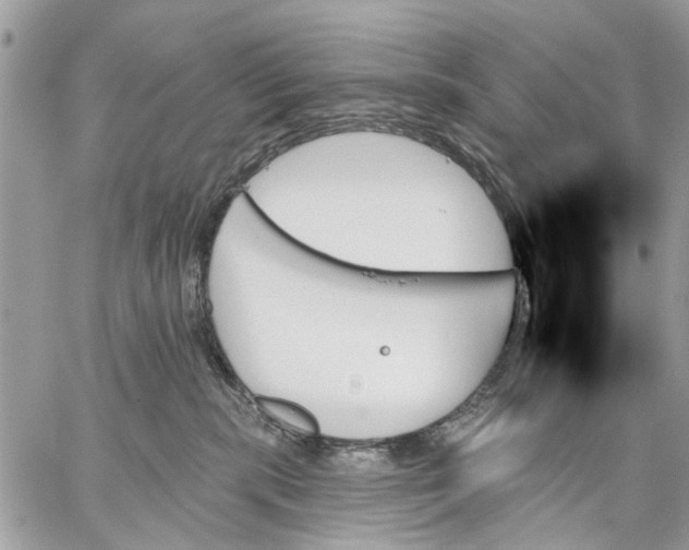 X0000059060283200510281640