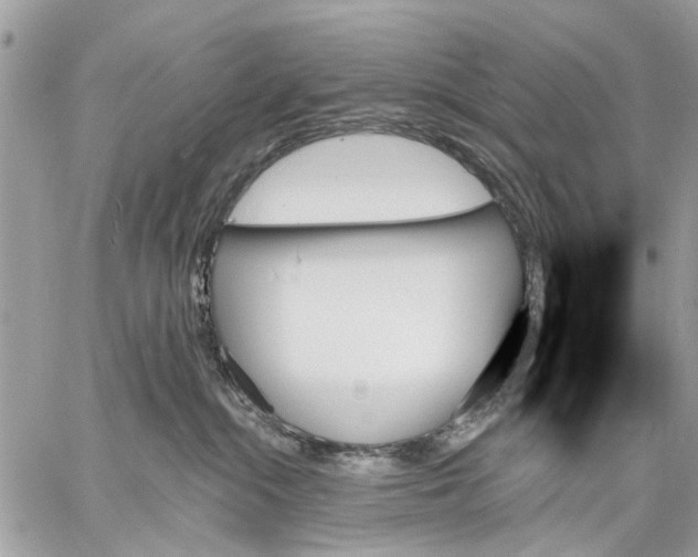 X0000059060284200510281640