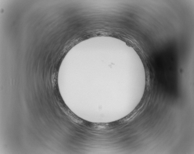 X0000059060285200510281640