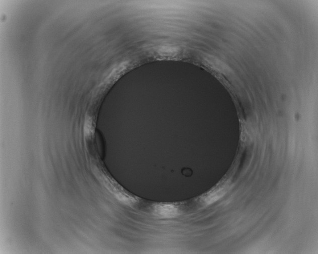 X0000059060287200510281640