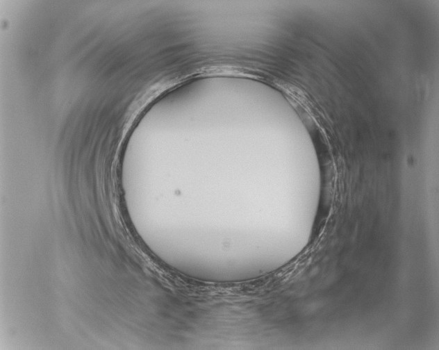 X0000059060289200510281639